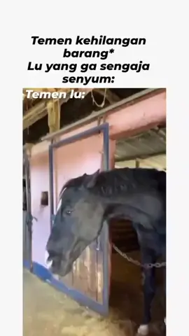 jangan lah senyum ketika barang teman lu hilang
