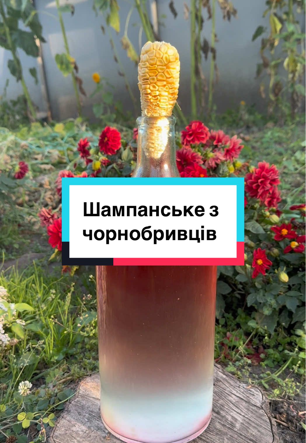 Шампанське з чорнобривців☺️  Таким напоєм ви точно здивуєте гостей!