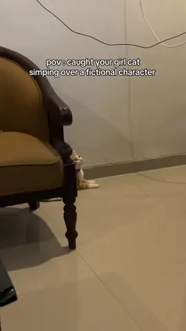 I’m speechless… #cat #catontiktok #funnycat #fyp #fypシ゚ 