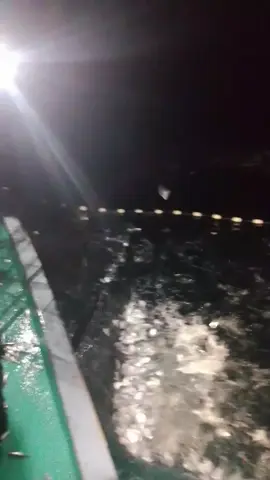bapa mantu bilang ikan koi laut 😅 #nelayanntt #kupangpunyadong🔥 #nttpride🏝🔥 #fyppppppppppppppppppppppp #fypシ゚viral 