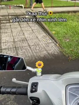 xinh lúmmm 🌻🌻 #hoahuongduong #xhuonggggg🐰 #phukienxemay #trending #xh 