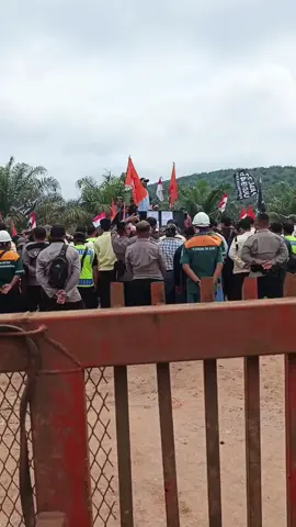 semoga ada solusinya #aksidemomasyarakatbayur