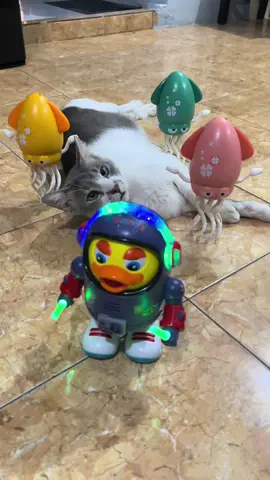 Mainan anak robot bebek luar angkasa joget #mainananak #mainanviral #mainan #mainanbebekangkasajoget #mainanbebekastronotjoget 