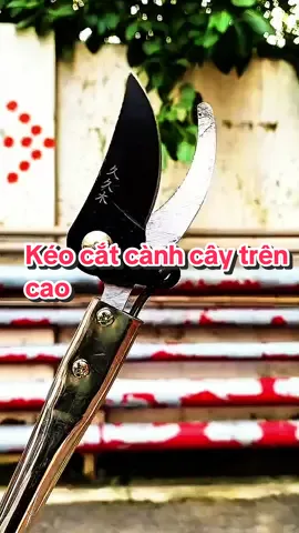 Kéo cắt tỉa cành cây trên cao an toàn, tiện lợi #keocattiacanhcay #keocatcanhcay #keocatcanhcaytrencao #keocatcanhcaycao #keocatcanhcandai 