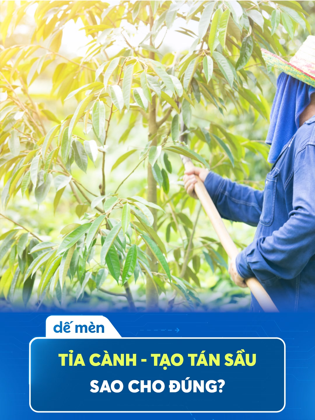 Nên tỉa sao cho cây phát triển khoẻ và mang nhiều bông - trái? #tiacanh #trending #xuhuong #fyp #phanbonhuucovisinh #phanbonvisinhdemen #saurieng