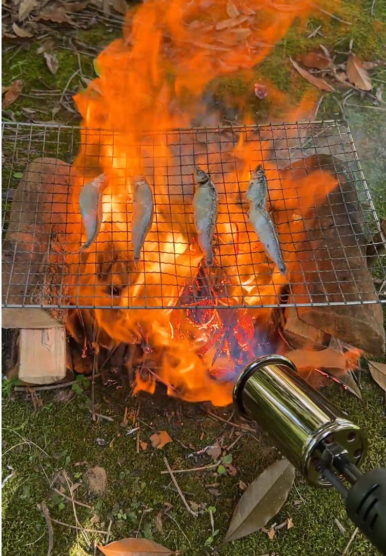 This is SUPER powerful propane hand torch.Make short work of lighting fires,searing food, staring charcoal, metal working, and many tasks in between.#torch #propane #fire #cooking #handtools. 