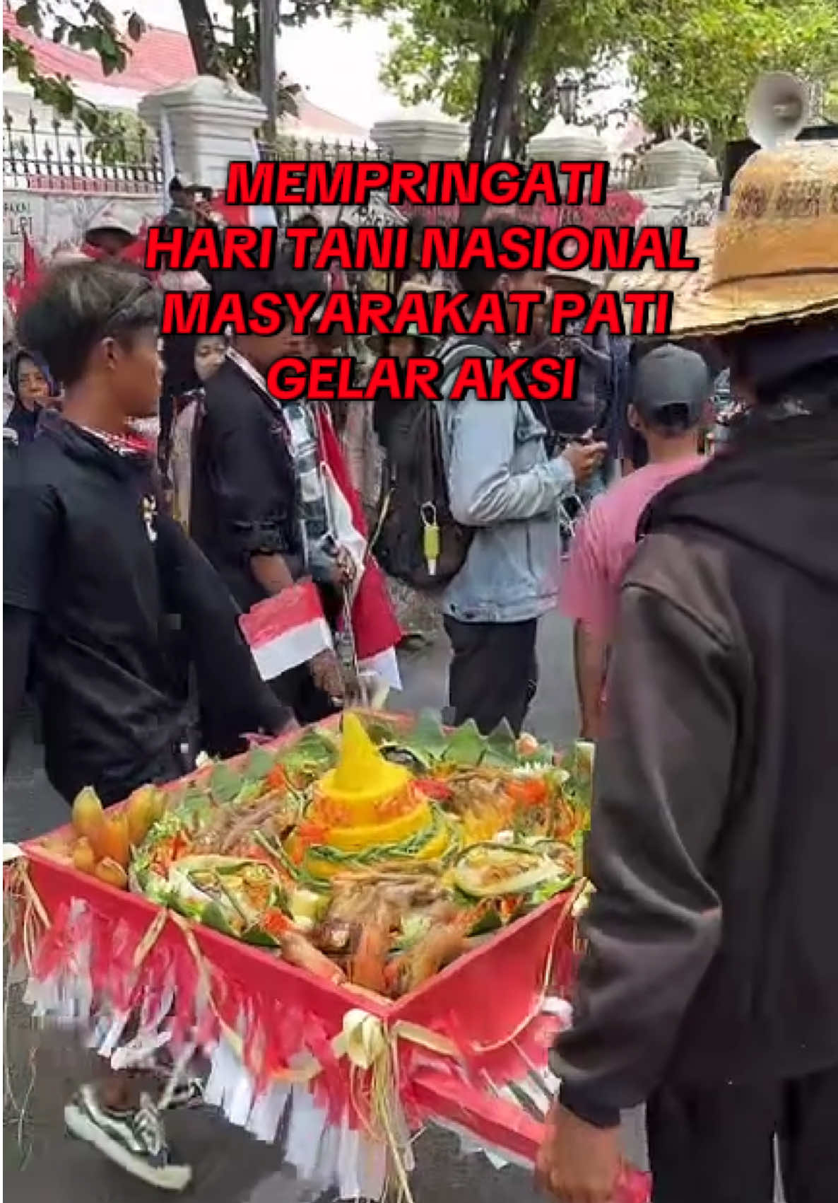 Memperingati Hari Tani Nasional Masyarakat Pati Gelar Aksi #pati #pativiral #beritatiktok  #haritani #tiktoklive #livehighlights #petani #petaniindonesia🇮🇩🇮🇩🇮🇩🌿🌿 