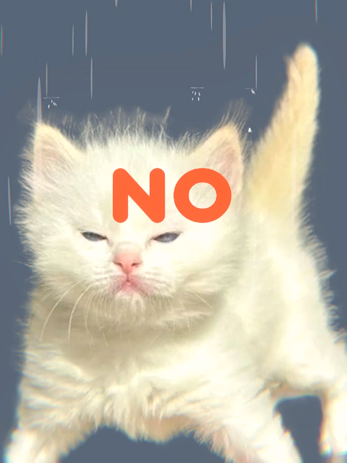 I don't relate to you #lirycs #catanimation #fyp #billieeilish #danceanimation 
