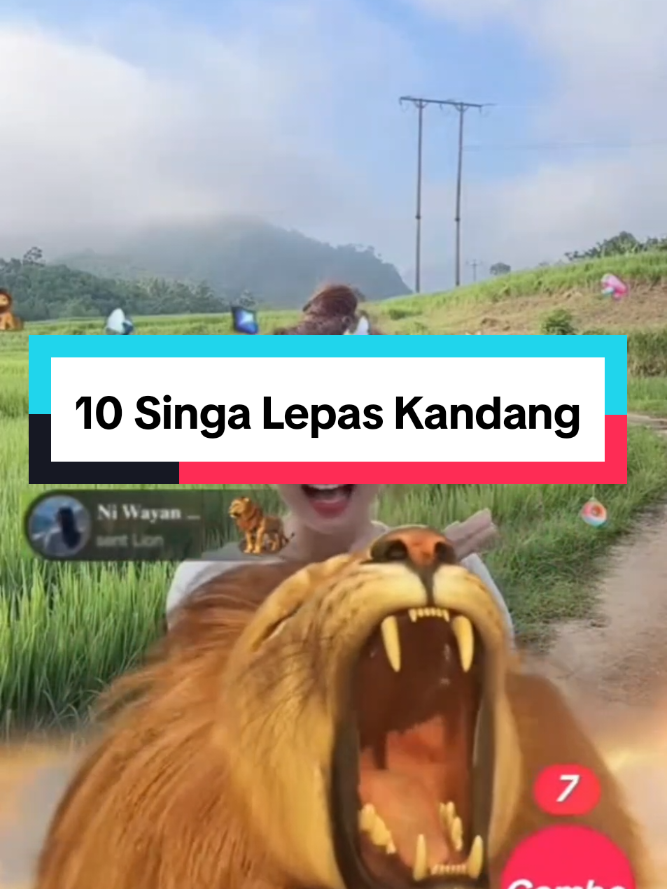 Viral! Jangan ditonton! Singa Lari Dari Kandang. @ᵀʷⁱˡⁱᵍʰᵗ 🩺 @𝐍𝐢 𝐃𝐲𝐚𝐡 𝐓𝐚𝐧𝐭𝐫𝐢 🩺  #gifttiktok  #gifter #spenderwanita #trending  #creatorsearchinsights 