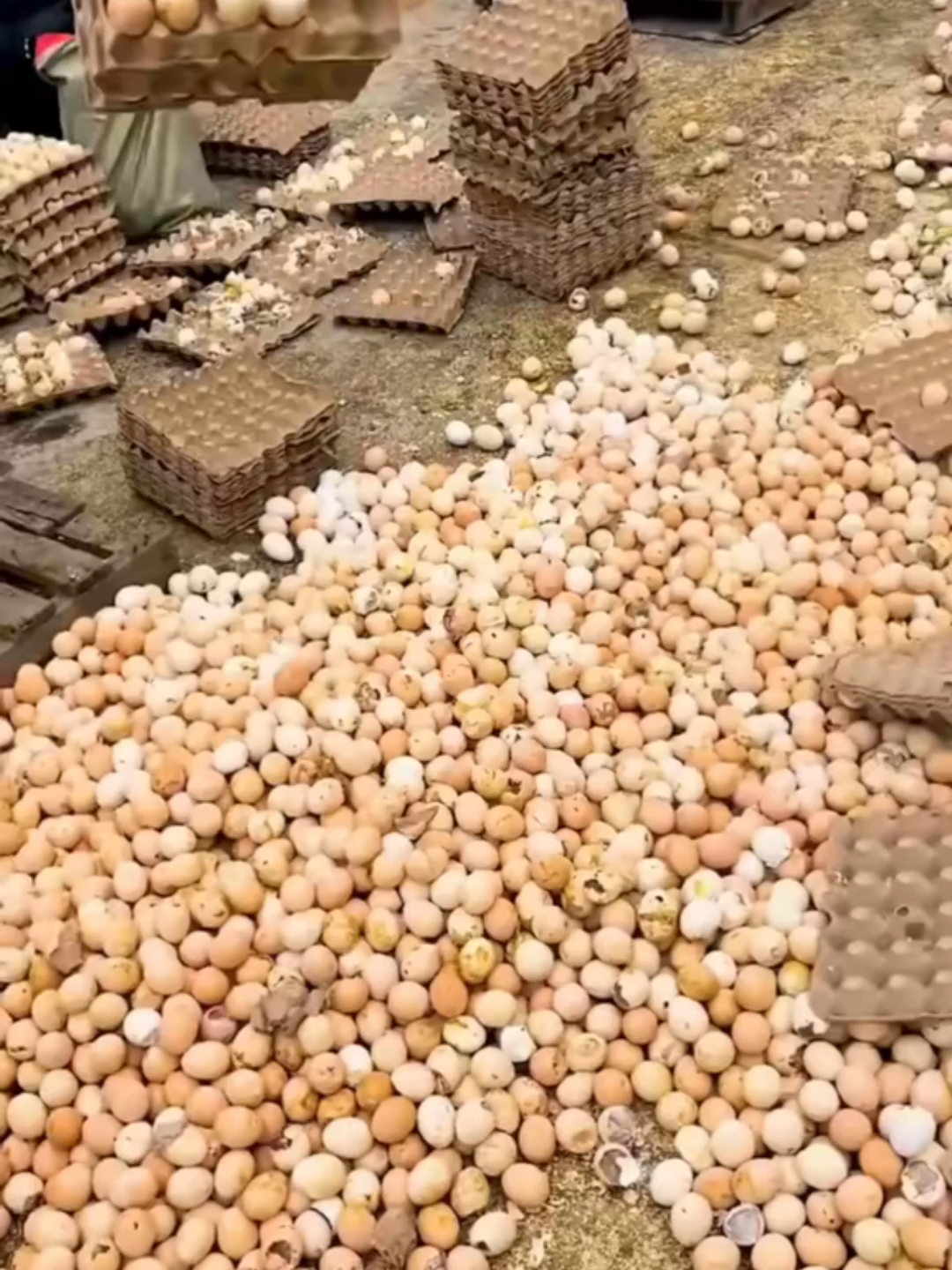Maybe the eggs you ate these days weren't real egg