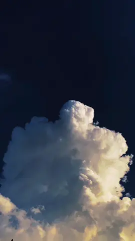 Kesukaan para nephophile ☁️🤏🏻 #fyp #langit #awan #astrophile #nature 