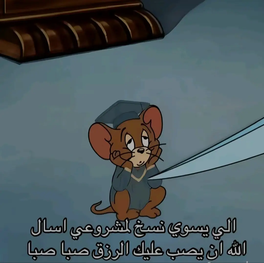 #اكسبلور #فتة_ورق_عنب #ابوظبي #العين 
