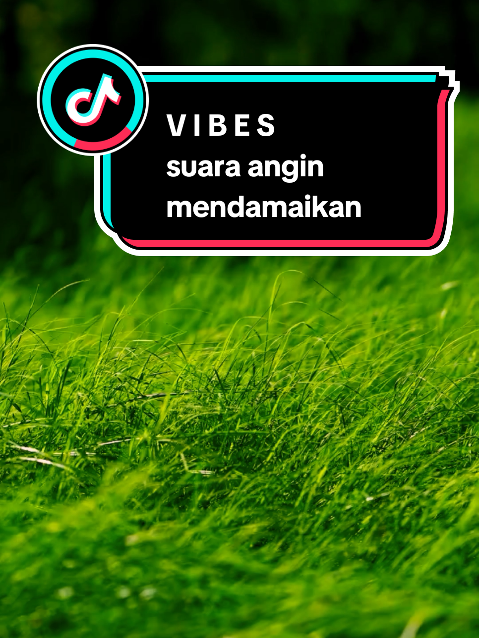 Angin Itu Gak Pernah Tinggal, Dia Cuma Lewat, Tapi Selalu Ninggalin Kesan. Sama Kayak Hidup, Gak Semua Yang Datang Akan menetap. Kayak Angin, Hidup Ini Tentang Perjalanan Bukan Tentang Diam Di Satu Titik.😌 #vibes #nature #keindahanalam #suasanaalam #pemandanganalam 