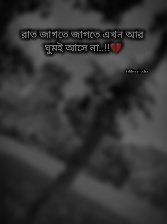 #sabbircahcchu #সাব্বিরচাচ্চু 