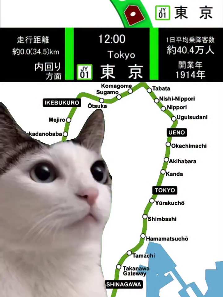 Yamanote line song cat version 😻