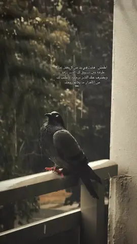 #كلام_من_القلب #🦋 #❤️ #خواطر #🌹 