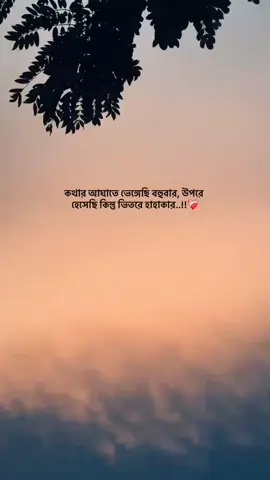 কথার অাঘাতে ভেঙ্গেছি বহুবার, উপরে হেঁসেছি কিন্তু ভিতরে হাহাকার....! ❤️‍🩹#unfrezzmyaccount