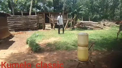#kumeloclassic #100kviews #foryoupage #foryou #creatorsearchinsights 