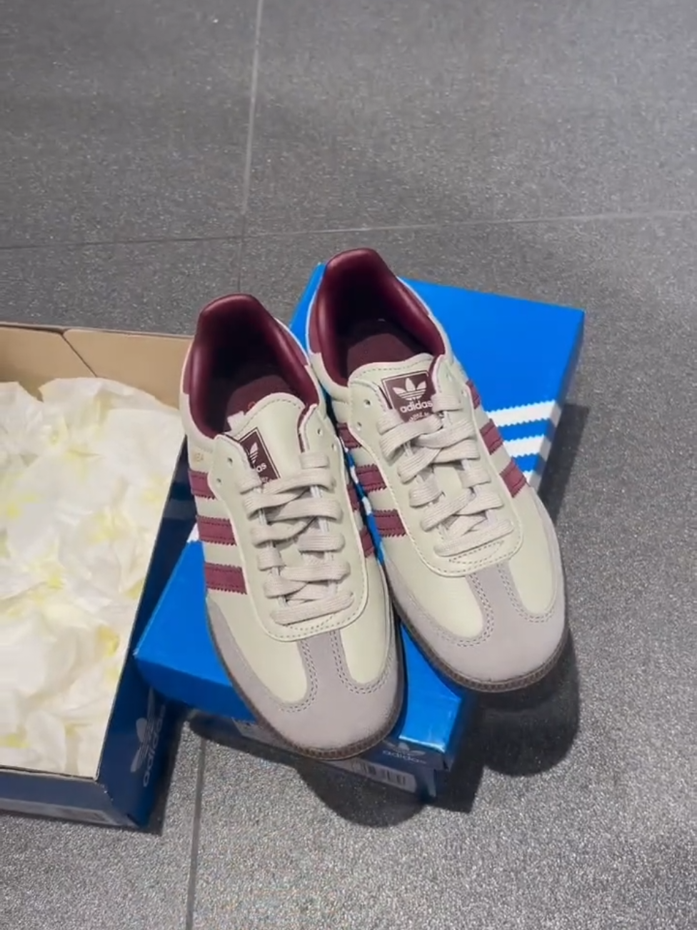 Adidas Samba OG Putty Grey Maroon #adidassamba #adidas #samba #fyp #fyppppppppppppppppppppppp 