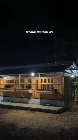 Adem ayem 😇 #fyp #kambingetawa #ditafarmkudus 