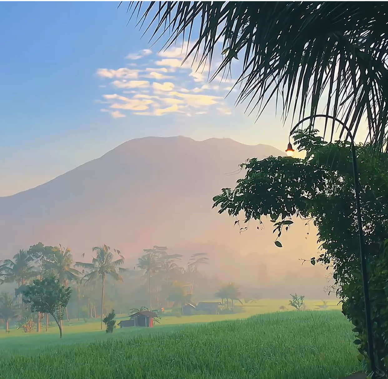 nature🍃 | #fyp #foryou #aesthetic #sawah #fypシ 