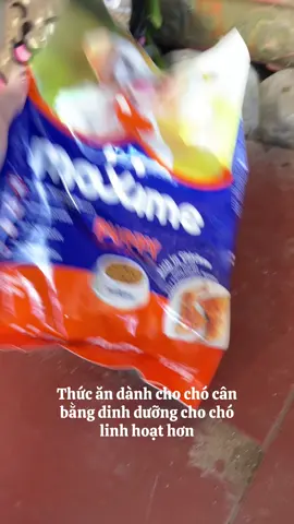 Hạt maxim dành cho chó #tiktokindia #xuhuong #hatthucanchocho 