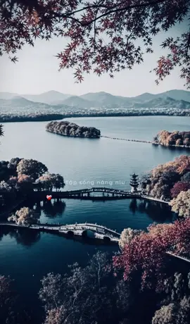 Tập sống nâng niu những gì mình đã có đi…#nhactamtrang #nhacsuy #xuhuongtiktok #saustorry 