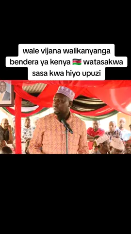 wale vijana walikanyanga bendera ya kenya 🇰🇪 watasakwa sasa kwa hiyo upuzi