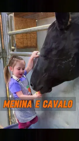 Os cavalos também têm emoções tocantes!#animal #animais 