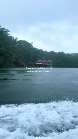 Everyone needs a good dance in the rain 