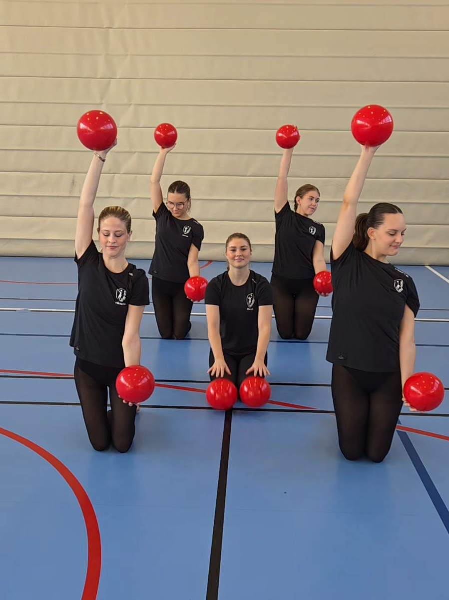 Can you guess the song? 👁🐯 Leave a comment! ➡️ #malmöflickorna #gymnastics #guessthesong #fyp #foryoupage❤️❤️ 