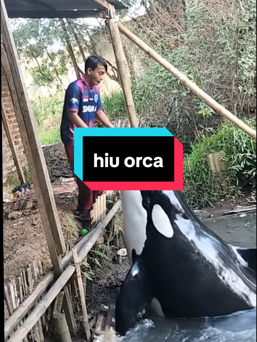 mancing mania dapat ikan besar ... 😄🤣🤣 #video #videoviral #lucu  #ikan 