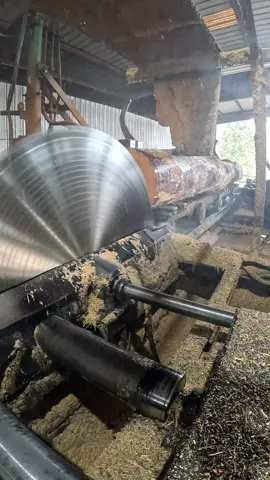 Turning a massive 20-foot Southern Yellow Pine into a custom cut of 2 x 14’s with precision! 🌲 Running it through a 66” solid tooth saw on a Cox Bros carriage — nothing like the power and craftsmanship of a classic sawmill setup. Watching that blade slice through this giant log is pure satisfaction. 💪  #Sawmill #Woodworking #SouthernYellowPine #BigCuts #SawmillSatisfaction