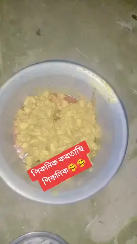 পিকনিক করবা কেউ🤤🤤🤤🤤🤤