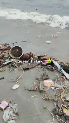 The Thai sea is not clean and they never clean it.#sea #typ #cambodia #kohrong 