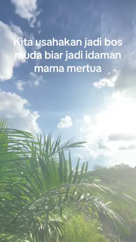 #sawitkalimantan🌴🌴🇮🇩 #bosmudasawit🌴🌴 #sawitindonesiamaju #sawitmalaysiaindonesia🇲🇾🇮🇩 #bosmudasawit✌😁 
