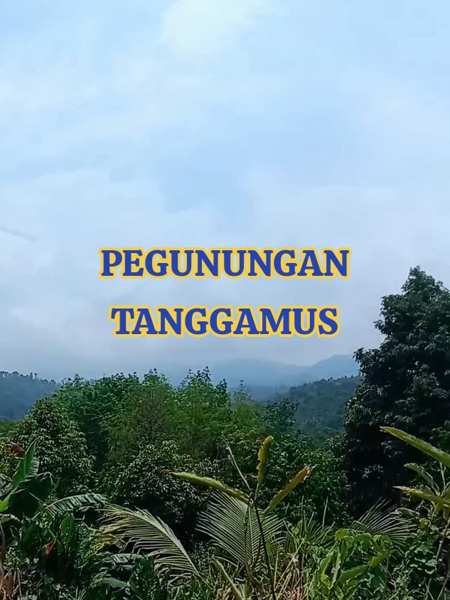 Naik gunung dipegunungan Tanggamus_Lampung.Nyepok sani ne gulai pai. 😄😁 #tanggamus_lampung #creatorsearchinsights #tranding #fypシ゚ 