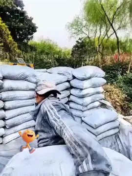 Bh:🎼❤️Đời Phụ Hồ.😍💋💃💃💃😄🤣🌻