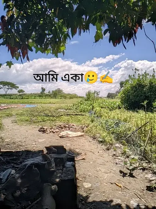 ▶︎•||৷৷৷|৷||||৷৷৷|||||৷|৷||৷৷৷|0:17