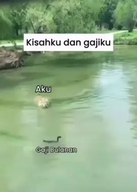 #🤣🤣🤣 