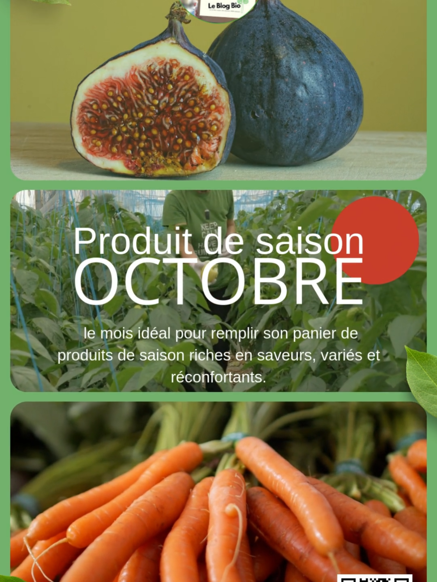 🍂 Quels sont les produits de saison en octobre ? 🍂 Courges, champignons, fruits d’automne, fromages réconfortants… Octobre est un mois gourmand qui sent bon l’automne ! 👉 Dans mon dernier article sur LeBlogBio.fr, je t’explique quels fruits, légumes, fromages, viandes et poissons privilégier ce mois-ci, avec des idées pour mieux consommer, éviter le gaspillage et soutenir les producteurs locaux. 📌 👉 Tu veux connaître la liste complète des produits de saison d’octobre ? Scannes le QRcode ou fais-moi signe dans les commentaires🌿 Et toi, quels sont tes ingrédients préférés d’octobre en cuisine ? Dis-moi en commentaire 🍎🥦