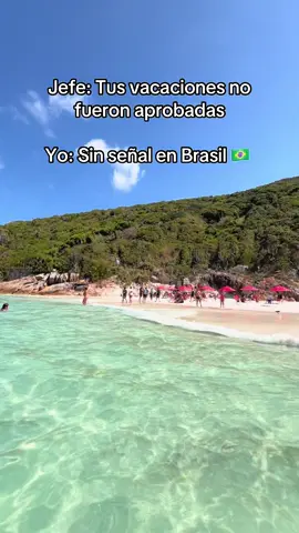 Sin miedo al éxito 🤪 #fyp #brasil🇧🇷 #praia 