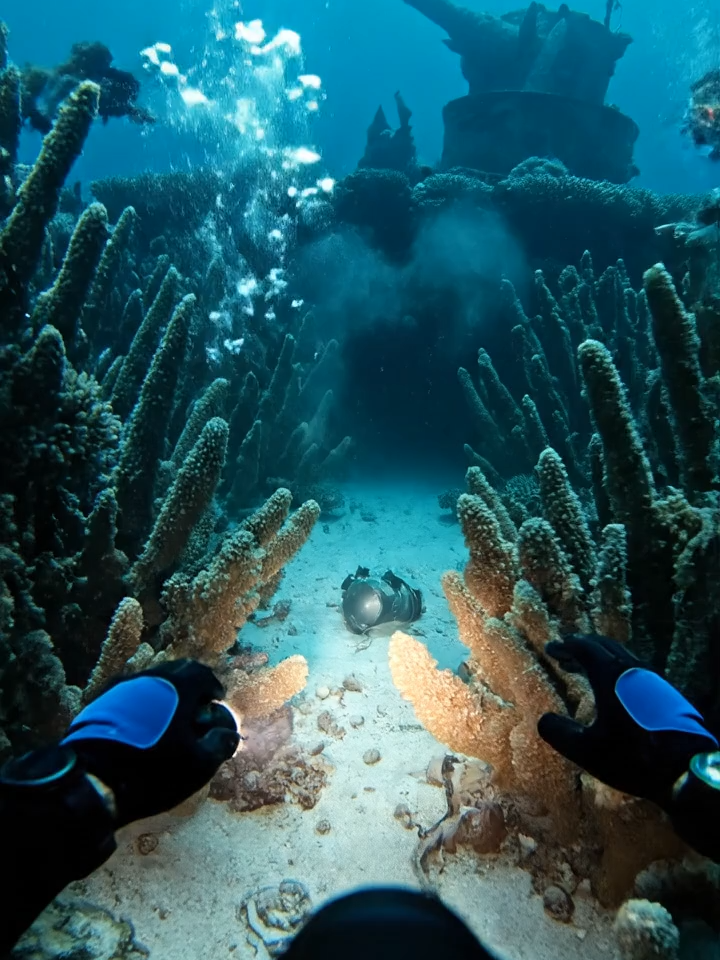 Diver’s 🤿🌊🧜‍♀️ camera captures alien underwater part 243#Mermaid #gorgon #find #horrormovie #scary #alien#underwaterwelding #diver #camera#creature#reef #fish#depth#terrifying#mystery#fear#spookytok#paranormal#darkness#ocean#eerie#thriller#sinister#abyss #monster#nightmare#chillsong#horrorfilm#suspense#haunting#unseen#unknown#fearful#supernatural#ominous#deepsea#footage #haunted#mystery#creat#exploration #divers #gold #diger
