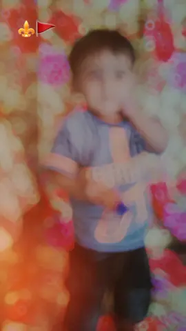 #Fan Following Tara yar di 🫀❣️ #tarending Foryoupage viralvideo #unfreezemyacount 