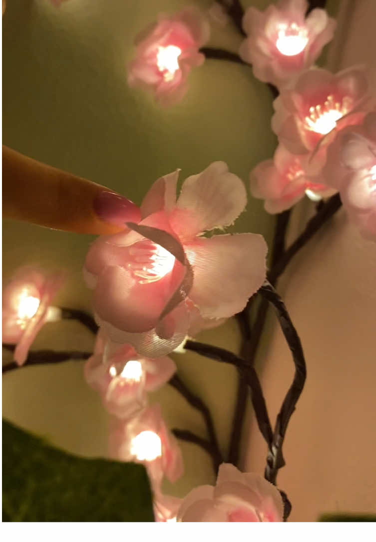 AMOO comi quedaron estas lucecitas de flores🥹 #cherryblossom 