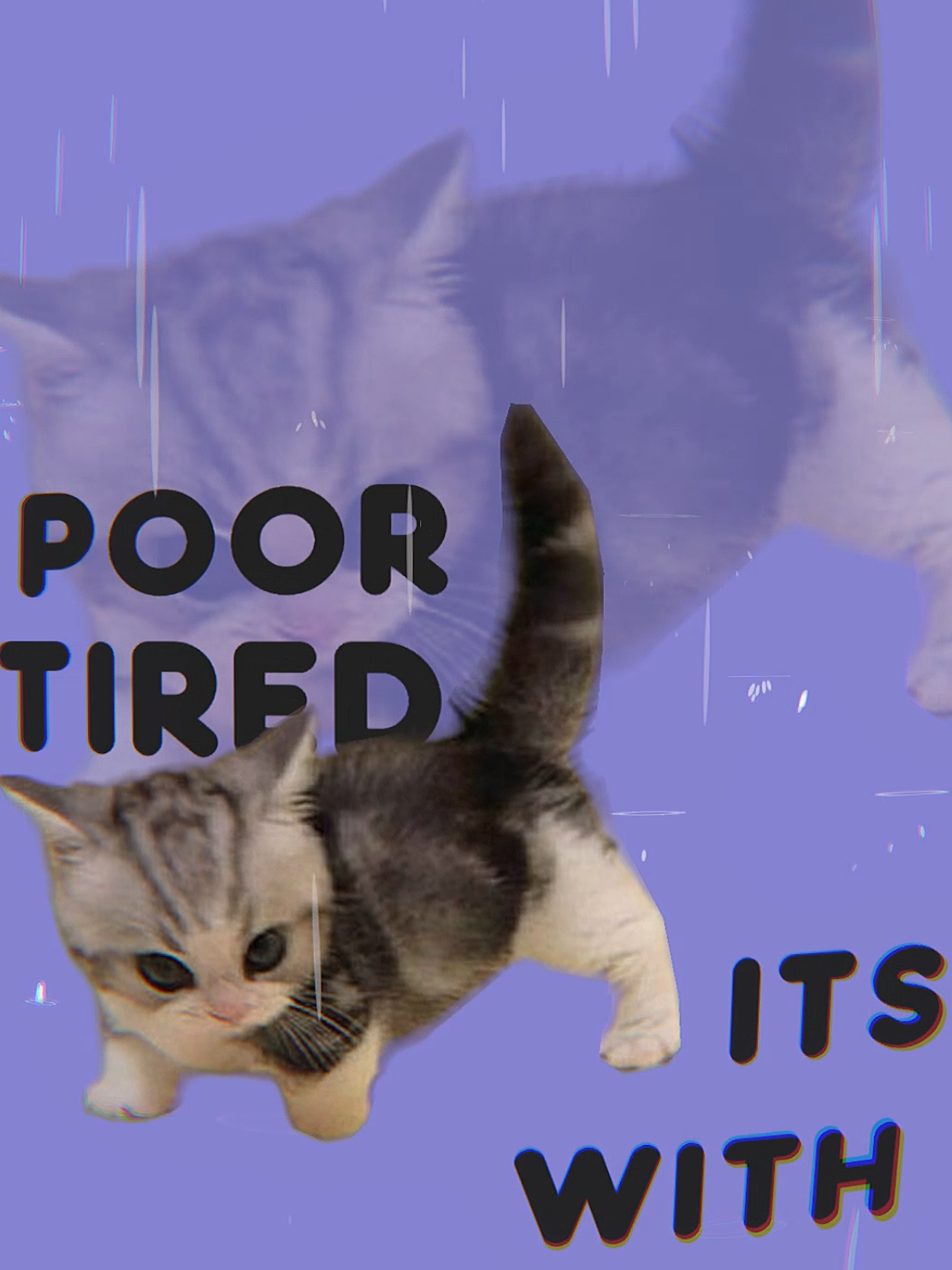BRUTALITY #catsedit #lyricsvideo #catanimation #systemofadown #fyp 