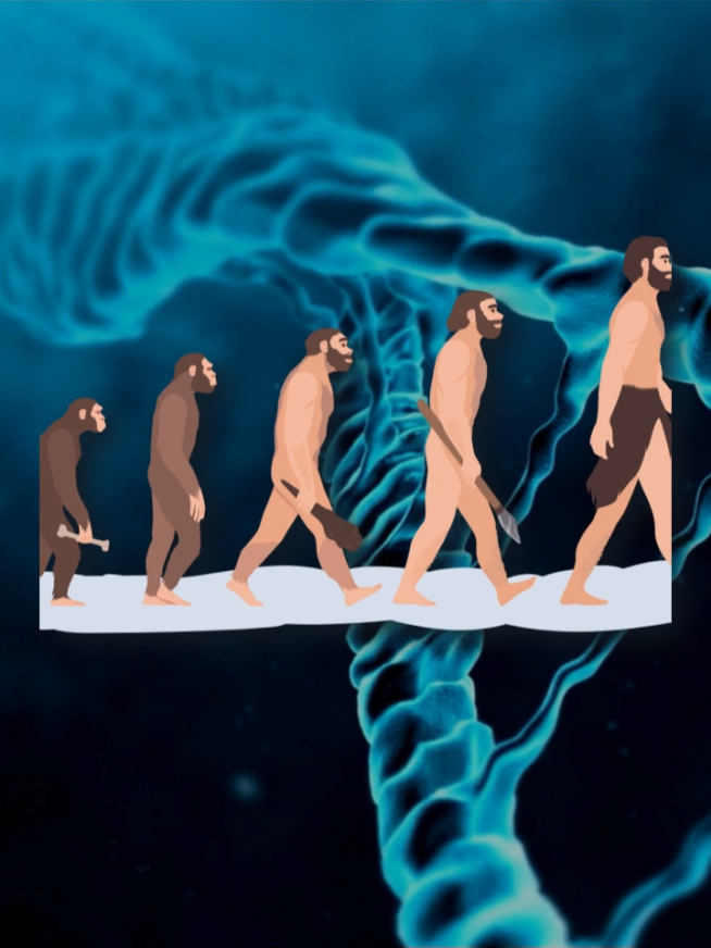 Human Creation from Clay! How that's possible? Quran and Science The Holy Quran revealed 1400 years ago states that “Man was created from clay.” But why clay? 🤔 Modern science proves that the human body and skin are made of elements like Carbon, Hydrogen, Oxygen, Nitrogen, Sulfur, Zinc, Iron, and Calcium – the very same elements also found in soil! 🌱 The difference lies only in design and structure – just like a raw brick vs a baked brick. This is a powerful sign that the Quran is truly the word of Allah, beyond human imagination. 📖 Watch till the end – a powerful reply to those who blindly believe in evolution! قرآن پاک میں 1400 سال پہلے ارشاد ہوا: “ہم نے انسان کو مٹی سے پیدا کیا” لیکن آخر مٹی ہی کیوں؟ 🤔 سائنس آج یہ بتاتی ہے کہ انسانی جلد اور جسم کاربن، ہائیڈروجن، آکسیجن، نائٹروجن، سلفر، زنک، آئرن اور کیلشیم جیسے عناصر سے مل کر بنا ہے۔ یہی اجزاء مٹی میں بھی پائے جاتے ہیں۔ فرق صرف ڈیزائن اور ساخت کا ہے۔ بالکل ایسے ہی جیسے ایک کچی اینٹ اور ایک پکی ہوئی اینٹ — دونوں مٹی سے مگر شکل اور مضبوطی مختلف۔ یہ اس بات کا ثبوت ہے کہ قرآن کسی انسان کی لکھی ہوئی کتاب نہیں بلکہ اللہ کی کتاب ہے۔ 📖 یہ ان لوگوں کے لیے ایک زوردار پیغام ہے جو اندھا دھند ایوولوشن پر یقین رکھتے ہیں۔ Quran Pak me 1400 saal pehle farmaya gaya: “Hum ne insaan ko mitti se paida kiya” Lekin kyun mitti? 🤔 Science kehti hai ke human skin aur body Carbon, Hydrogen, Oxygen, Nitrogen, Sulfur, Zinc, Iron aur Calcium se mil kar bani hai. Yehi elements mitti me bhi paaye jaate hain. Farq sirf design aur structure ka hai. Bilkul usi tarah jaise kachi eent aur pakki eent — dono mitti se, magar shape aur strength alag. Ye sabit karta hai ke Quran Allah ki kitab hai, insani dimagh ka kaam nahi. 📖 Ye ek strong jawab hai un logon ke liye jo evolution ko blindly follow karte hain.