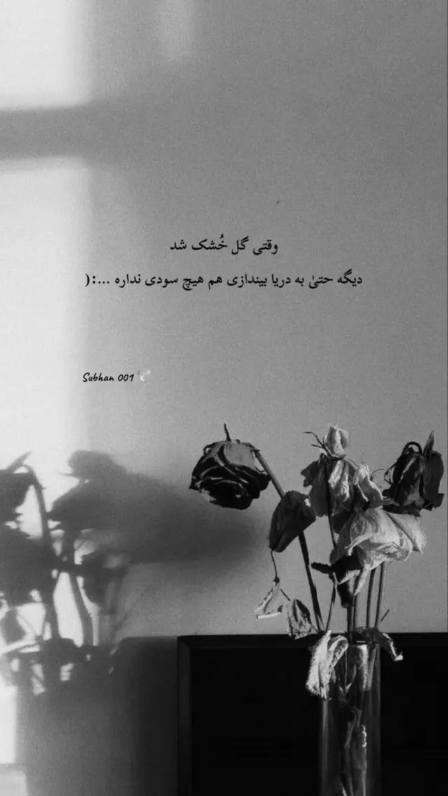 #دلنوشته_های_من🌱🕊️ #subhan001🕊️                               #سخن #دل #غمگین 