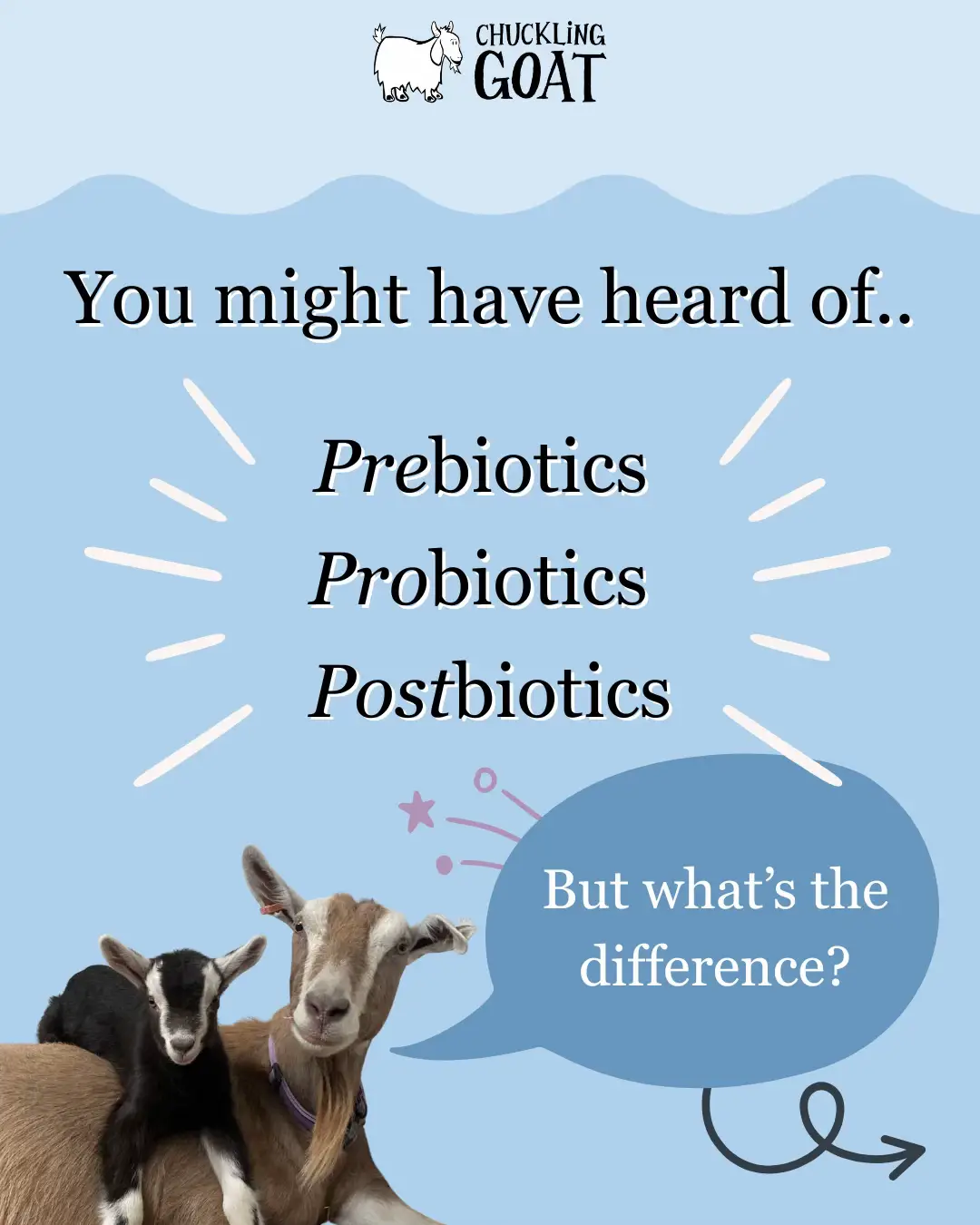 Here’s the difference (and why your gut loves them!) 🌱🫶💚✨ #chucklinggoat #guthealth #guthealthmatters #probiotics #prebiotics 