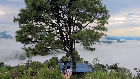 ကလောမြို့ရဲ့တနေရာ #kalaw #travelling  #fyp #viral #ကလောမြို့ 